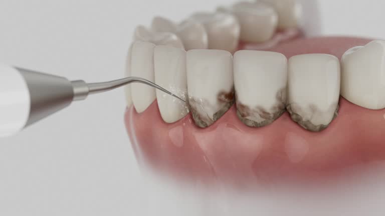 Reliable Dental contractor in Emigration Canyon, UT by Dentist Open Now